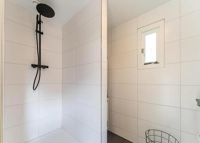 Scilla 수스터베르흐