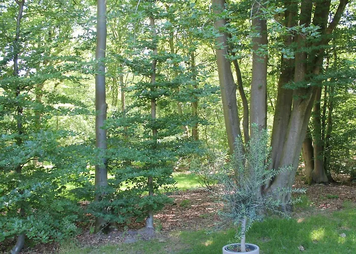 펜션 Scilla 수스터베르흐